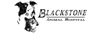 Link to Homepage of Blackstone Animal Hospital